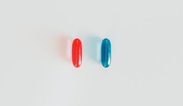 Blue Pill or Red Pill? Into the Tulip Trading rabbit hole